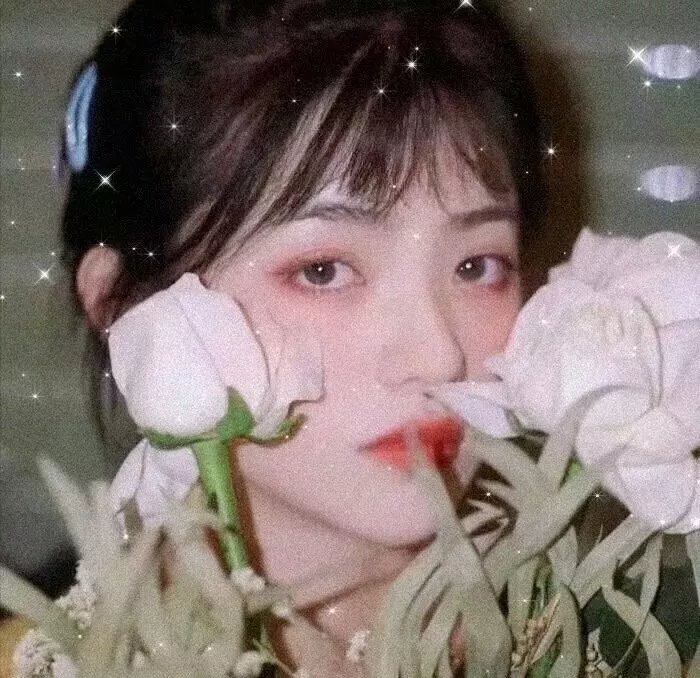 西尔维娅传